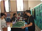 FEIRA_CIÊNCIAS_2016 (282).JPG